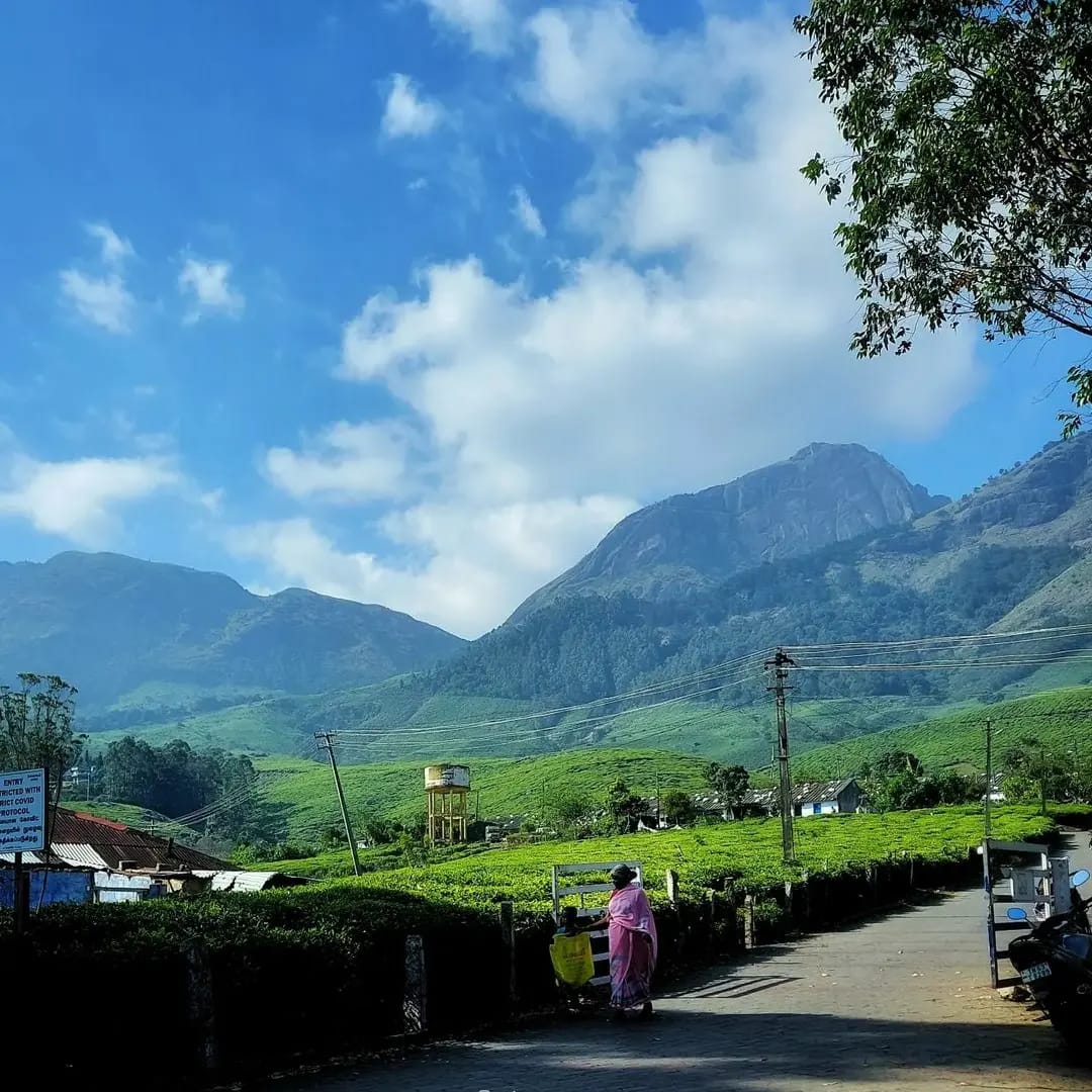 whatsapp-image-2025-08-10-at-55431-pm